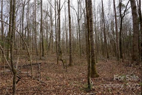 9 Ac Burree Road Clover SC 29710