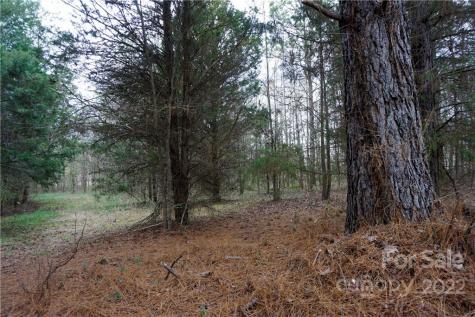 9 Ac Burree Road Clover SC 29710