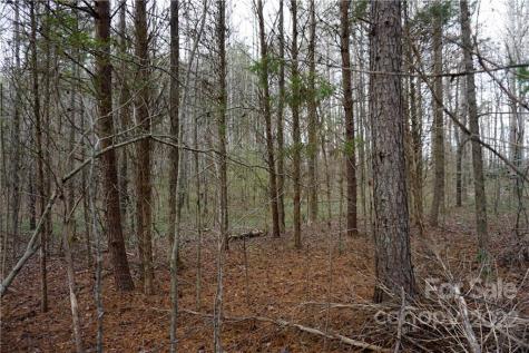 9 Ac Burree Road Clover SC 29710