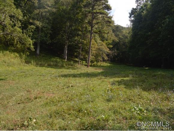 19 Banks Hill Road Swannanoa NC 28778