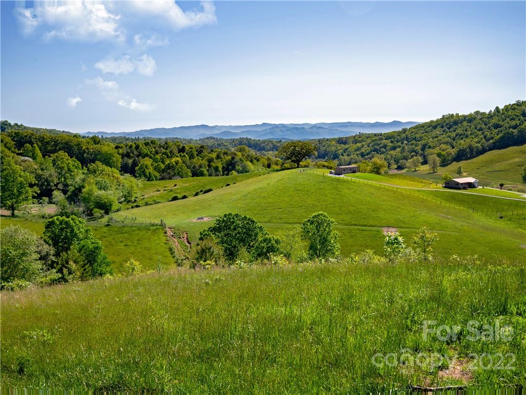 435 N Turkey Creek Road Leicester NC 28748