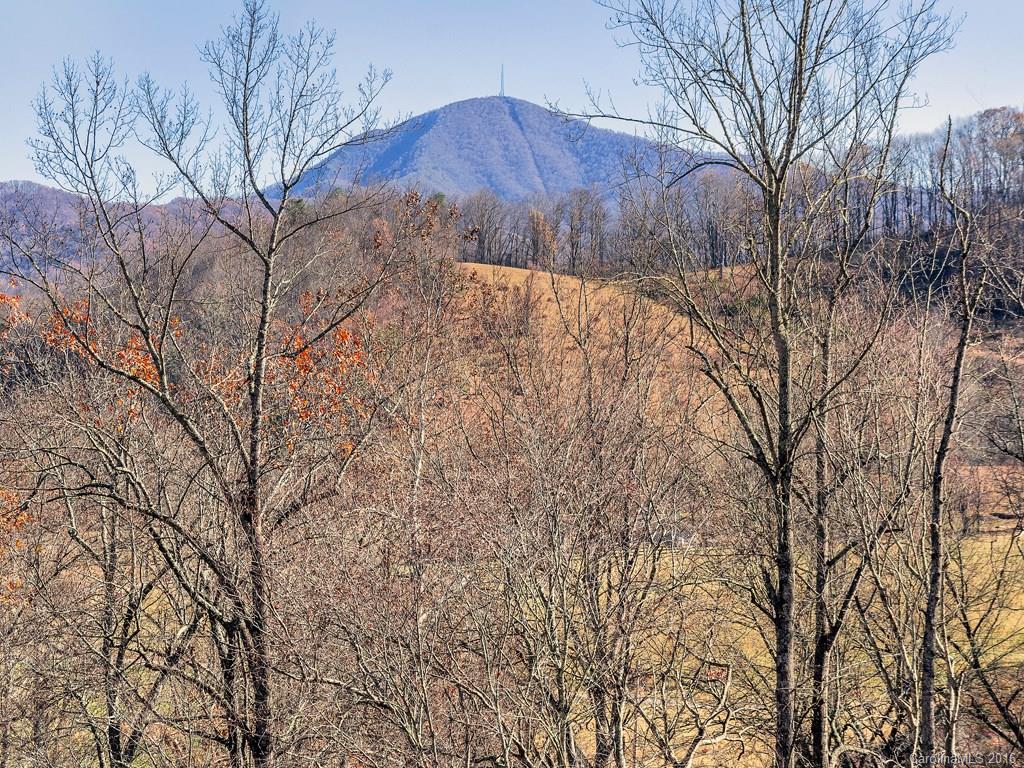 86 Ponderosa Drive Canton NC 28716
