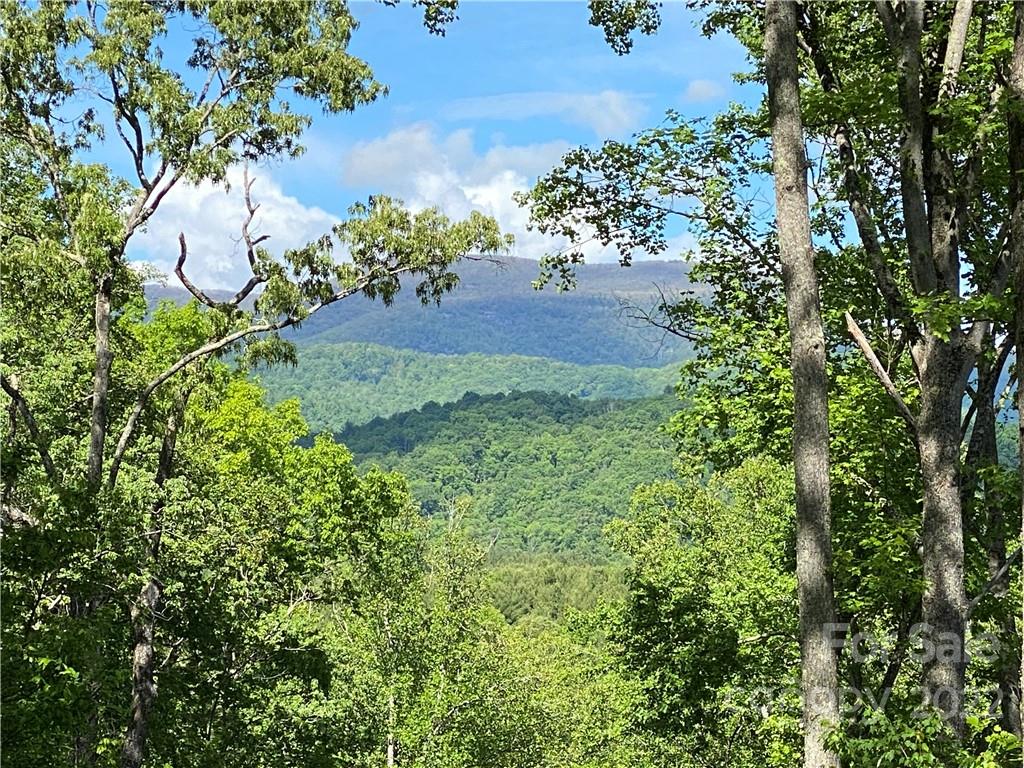 11 Hickory Top Lane Asheville NC 28805