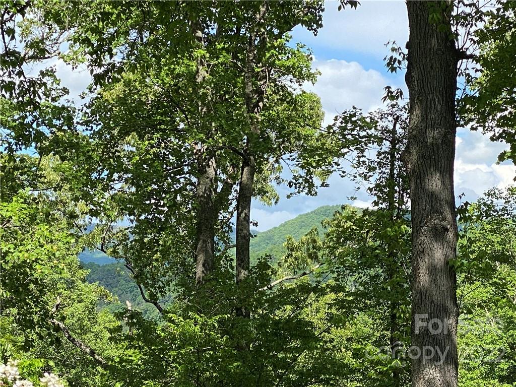 11 Hickory Top Lane Asheville NC 28805