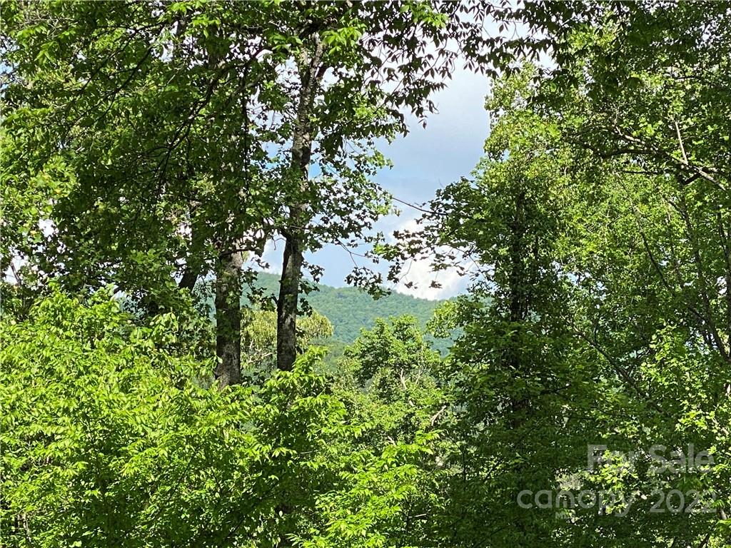 11 Hickory Top Lane Asheville NC 28805