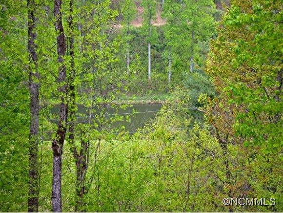 26 Hopalong Trace Waynesville NC 28785