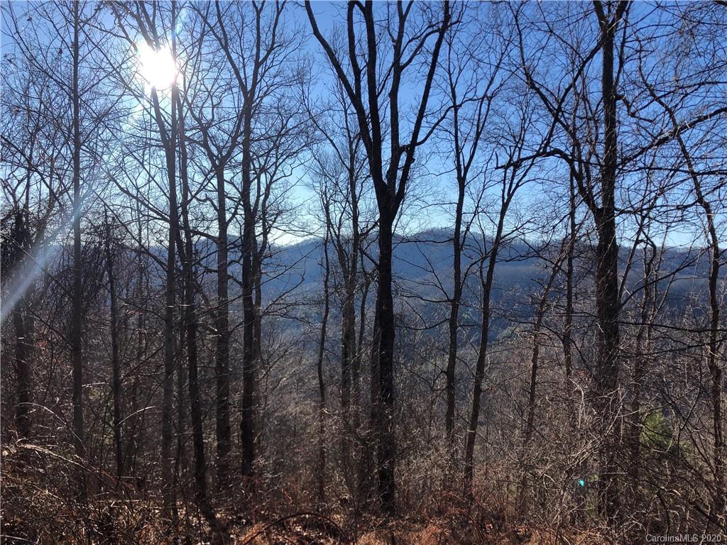 3600 Grapevine Road Marshall NC 28753