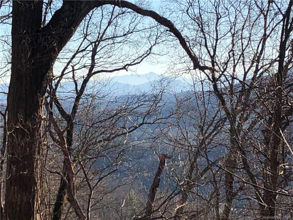 3600 Grapevine Road Marshall NC 28753