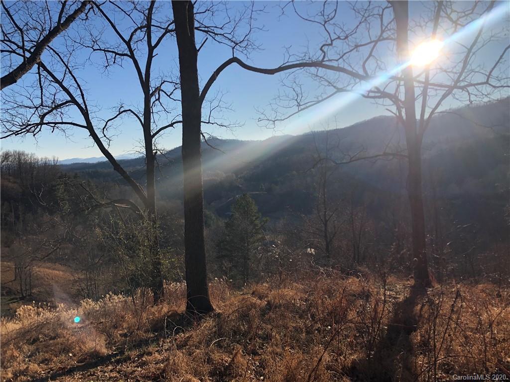 3600 Grapevine Road Marshall NC 28753