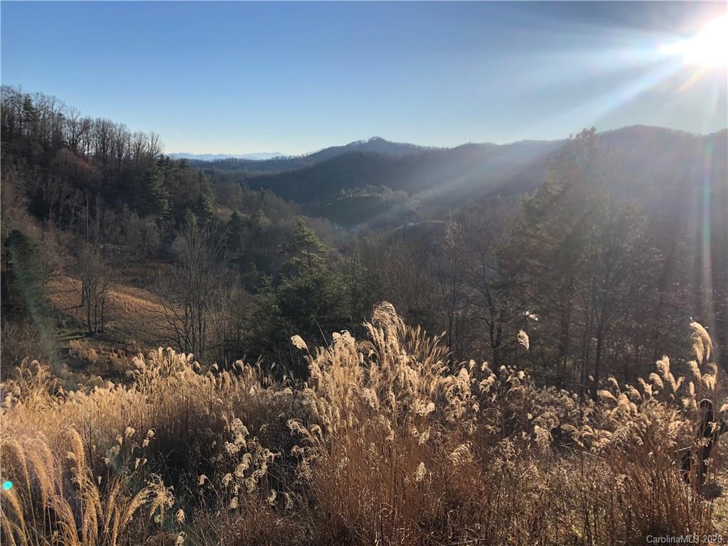 3600 Grapevine Road Marshall NC 28753