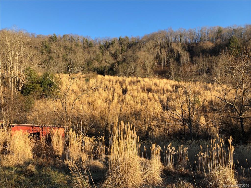 3600 Grapevine Road Marshall NC 28753