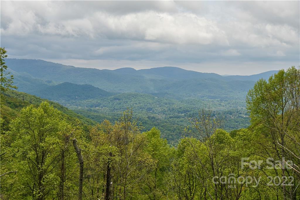 24 Poplar Forest Road Fairview NC 28730