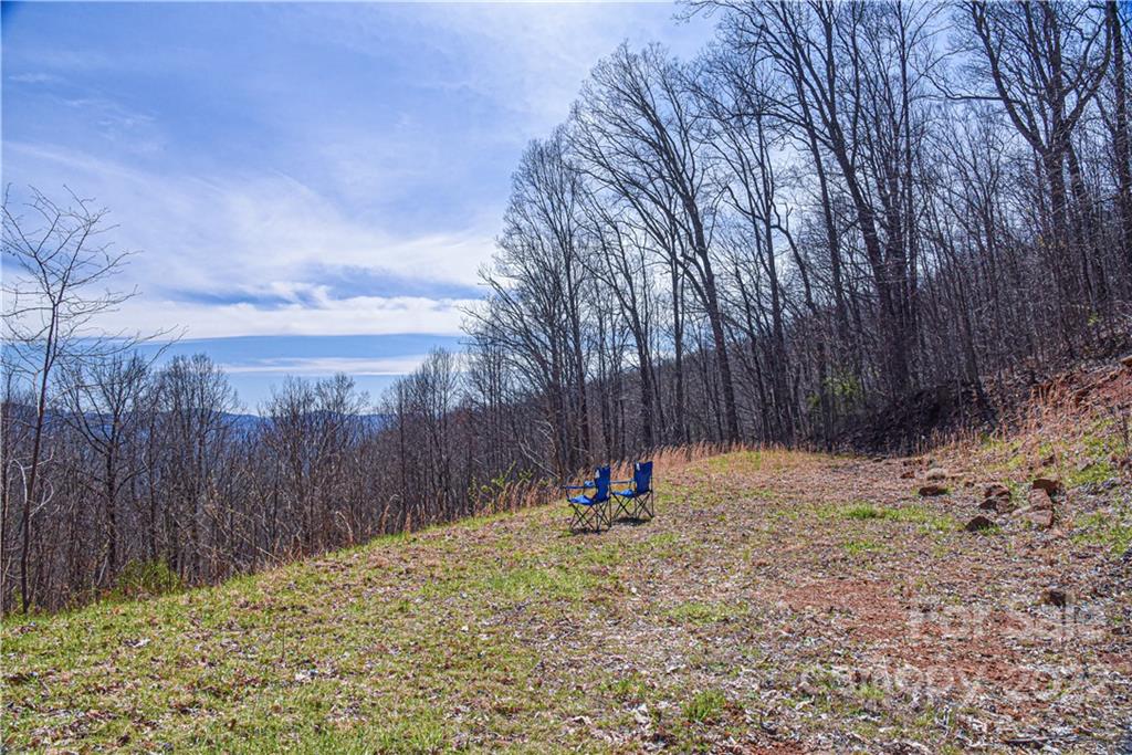 24 Poplar Forest Road Fairview NC 28730