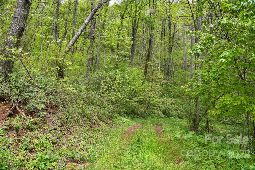 24 Poplar Forest Road Fairview NC 28730