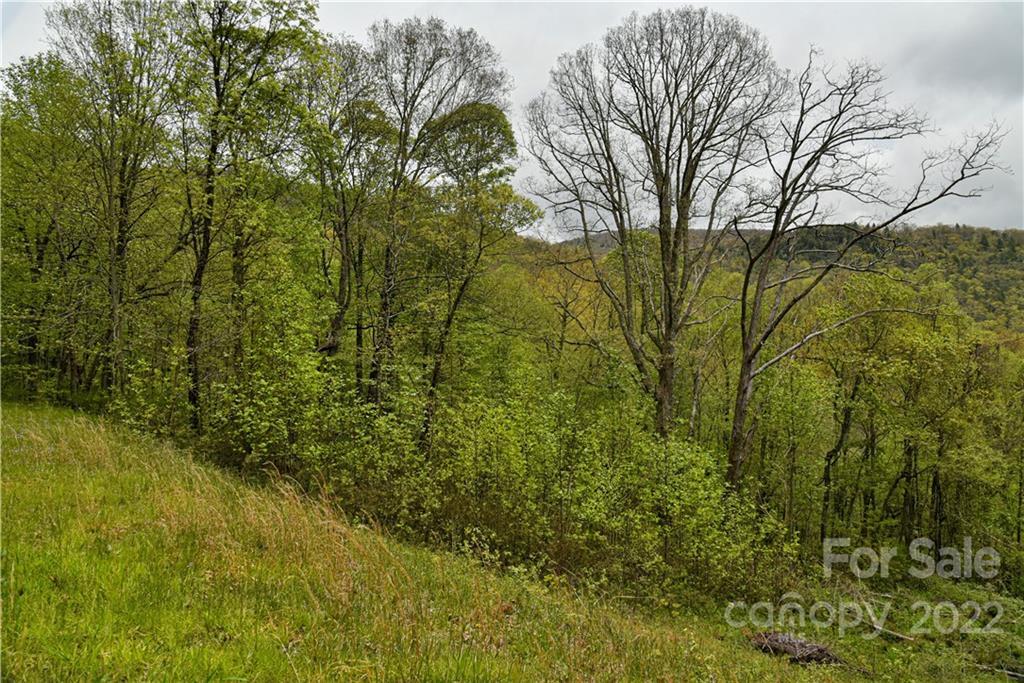 24 Poplar Forest Road Fairview NC 28730