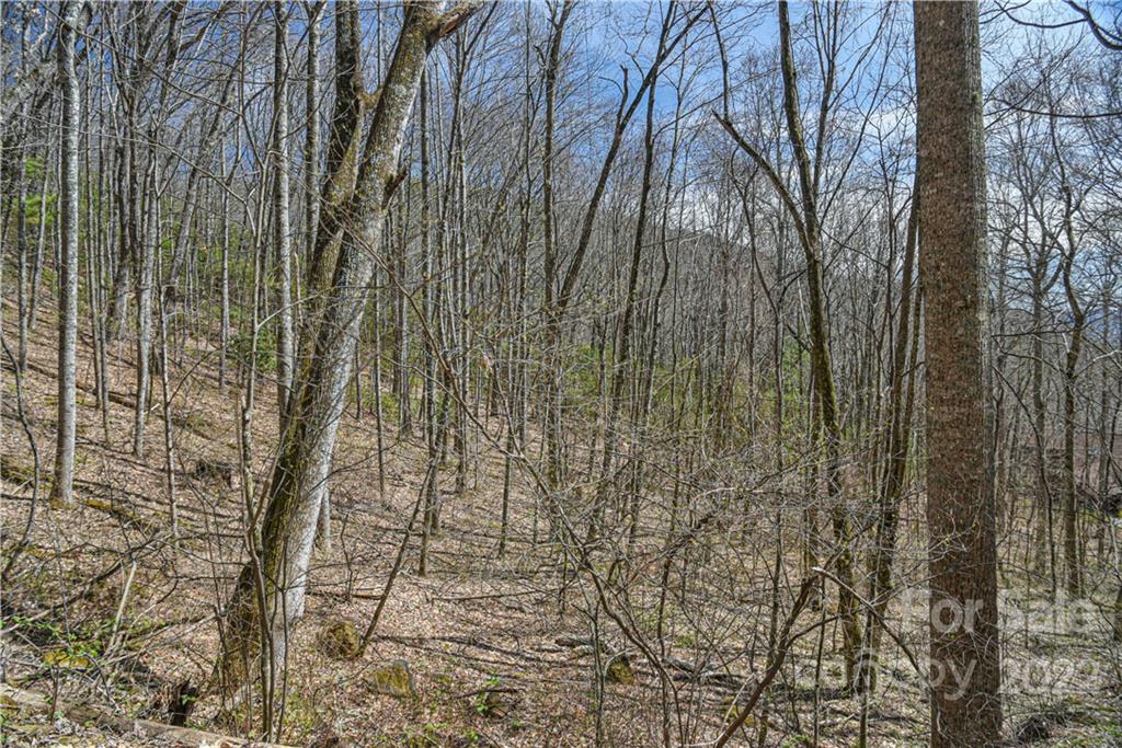 24 Poplar Forest Road Fairview NC 28730