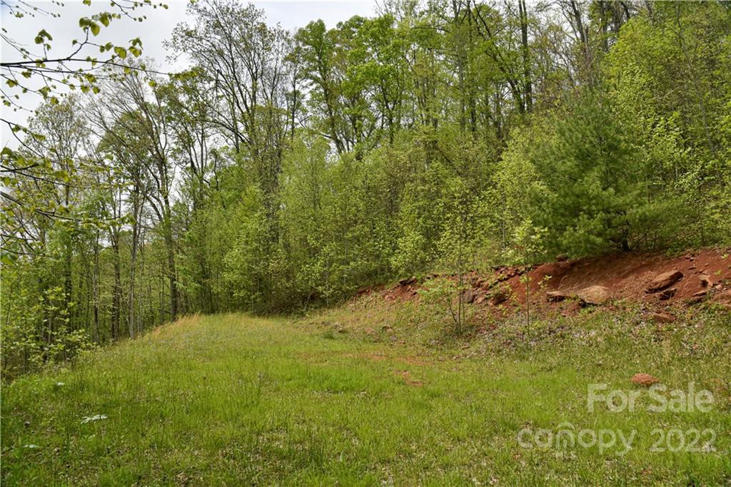 24 Poplar Forest Road Fairview NC 28730