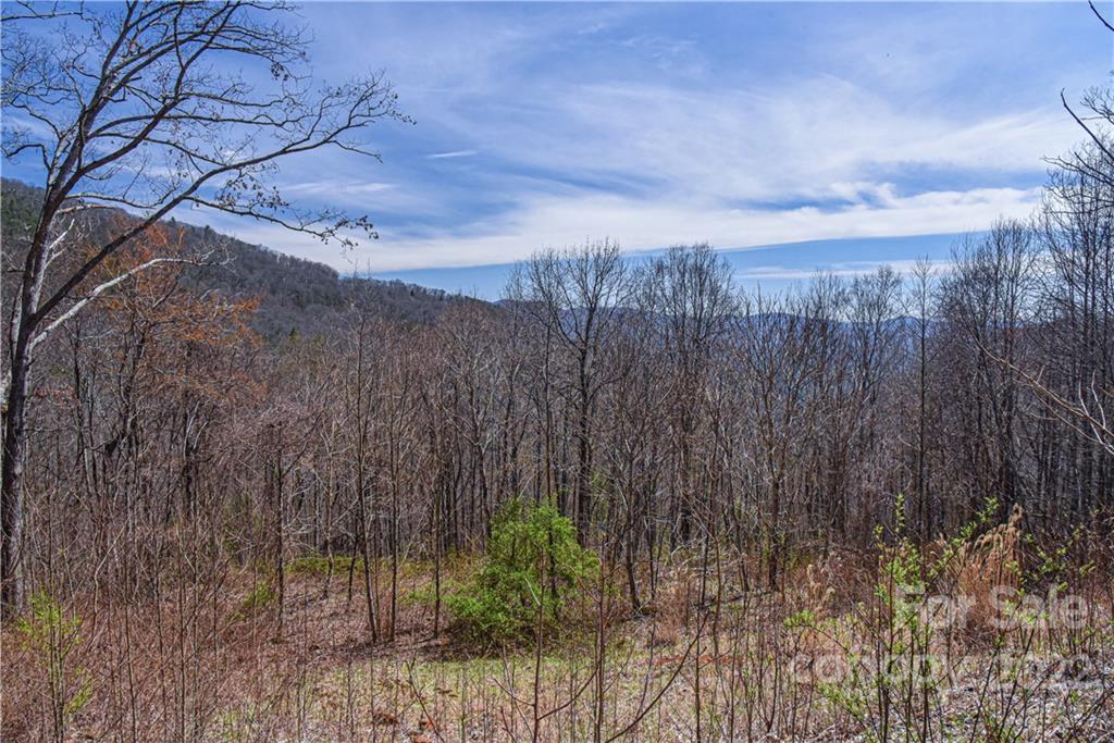 24 Poplar Forest Road Fairview NC 28730