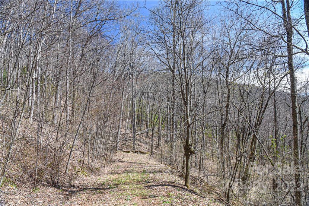 24 Poplar Forest Road Fairview NC 28730