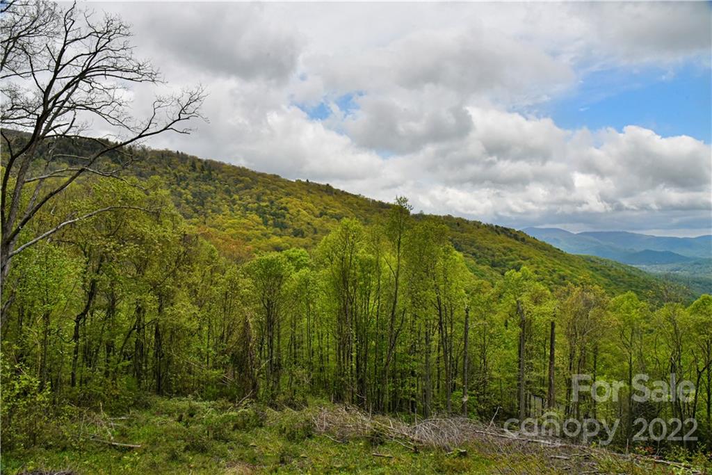 24 Poplar Forest Road Fairview NC 28730