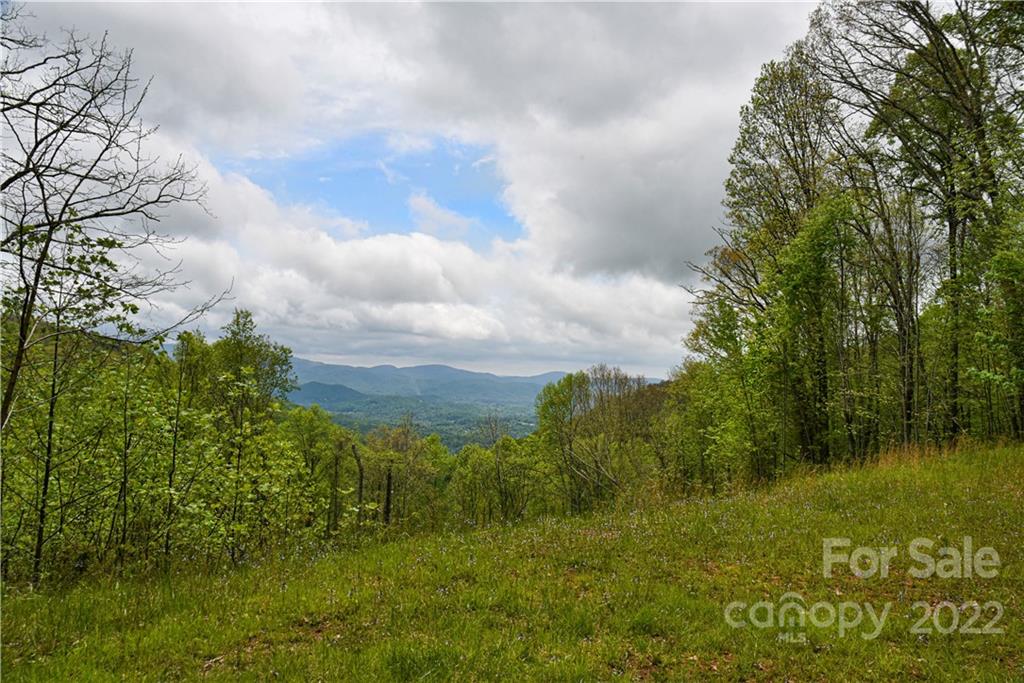 24 Poplar Forest Road Fairview NC 28730