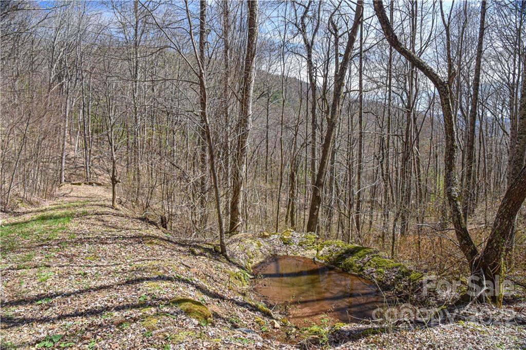 24 Poplar Forest Road Fairview NC 28730