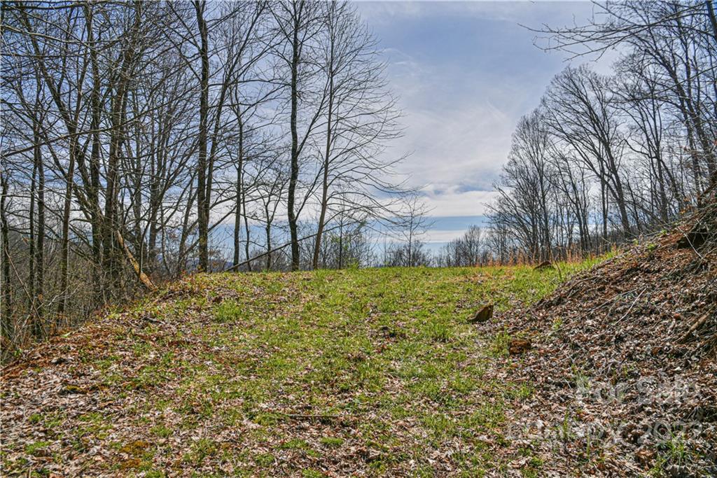 24 Poplar Forest Road Fairview NC 28730