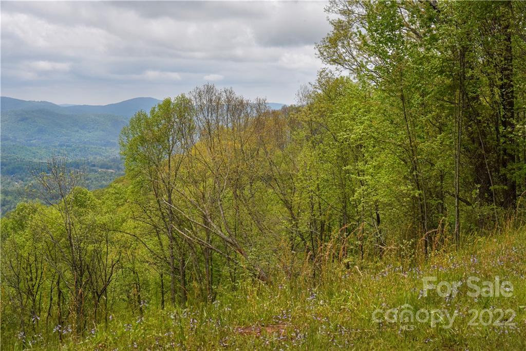 24 Poplar Forest Road Fairview NC 28730