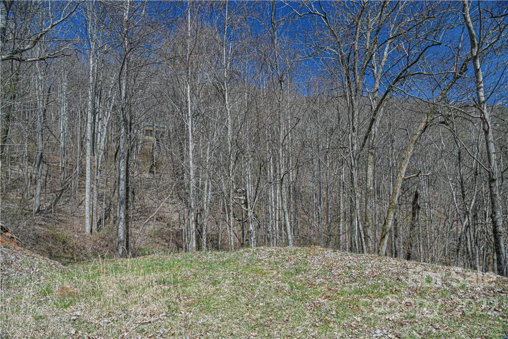 24 Poplar Forest Road Fairview NC 28730