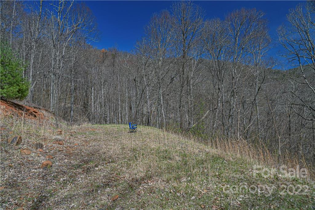 24 Poplar Forest Road Fairview NC 28730