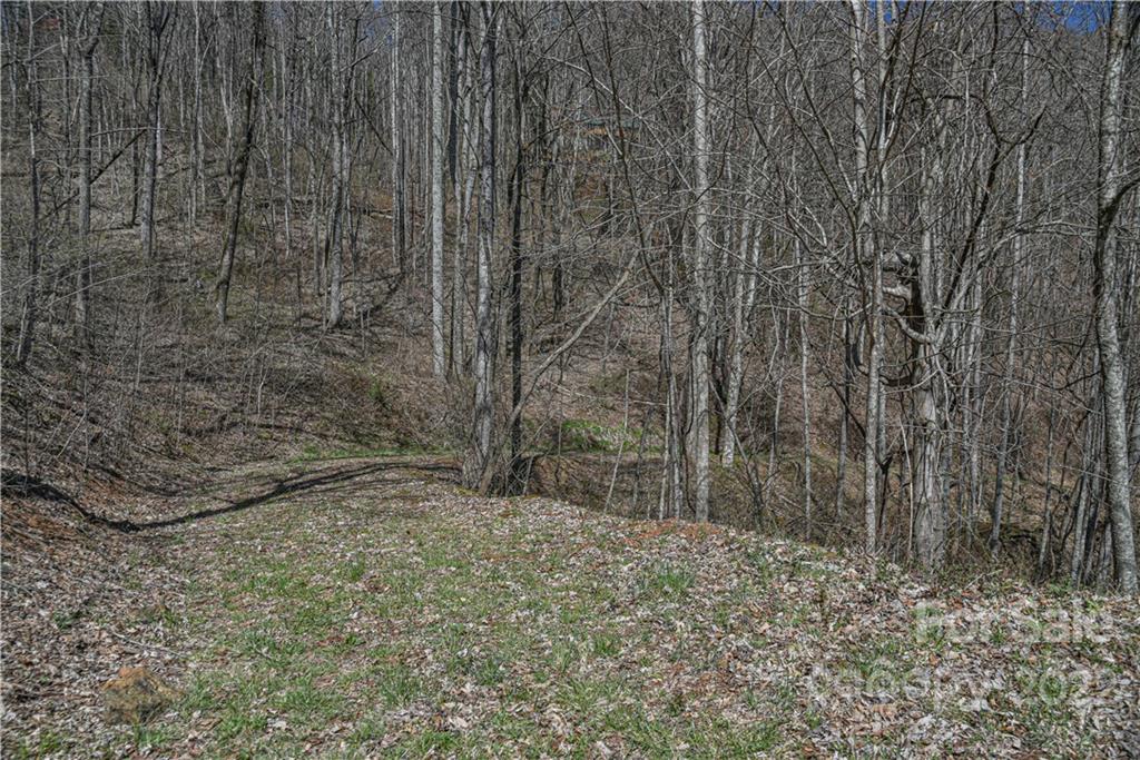 24 Poplar Forest Road Fairview NC 28730