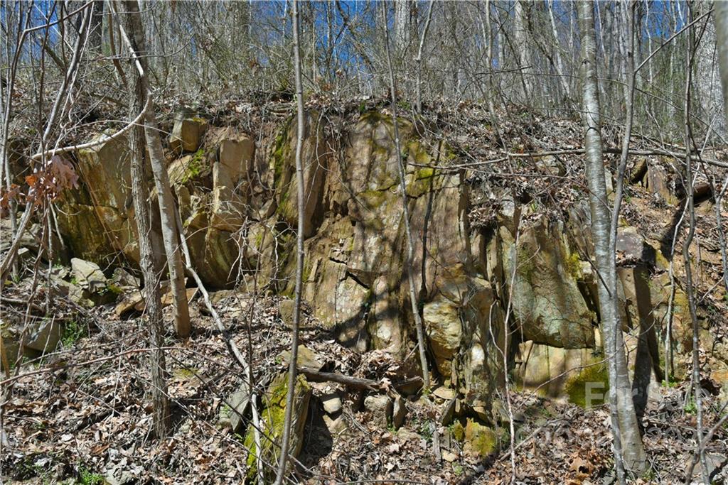 24 Poplar Forest Road Fairview NC 28730