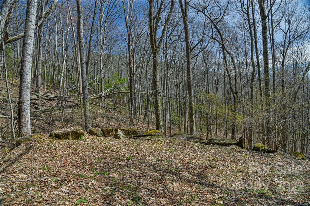 24 Poplar Forest Road Fairview NC 28730
