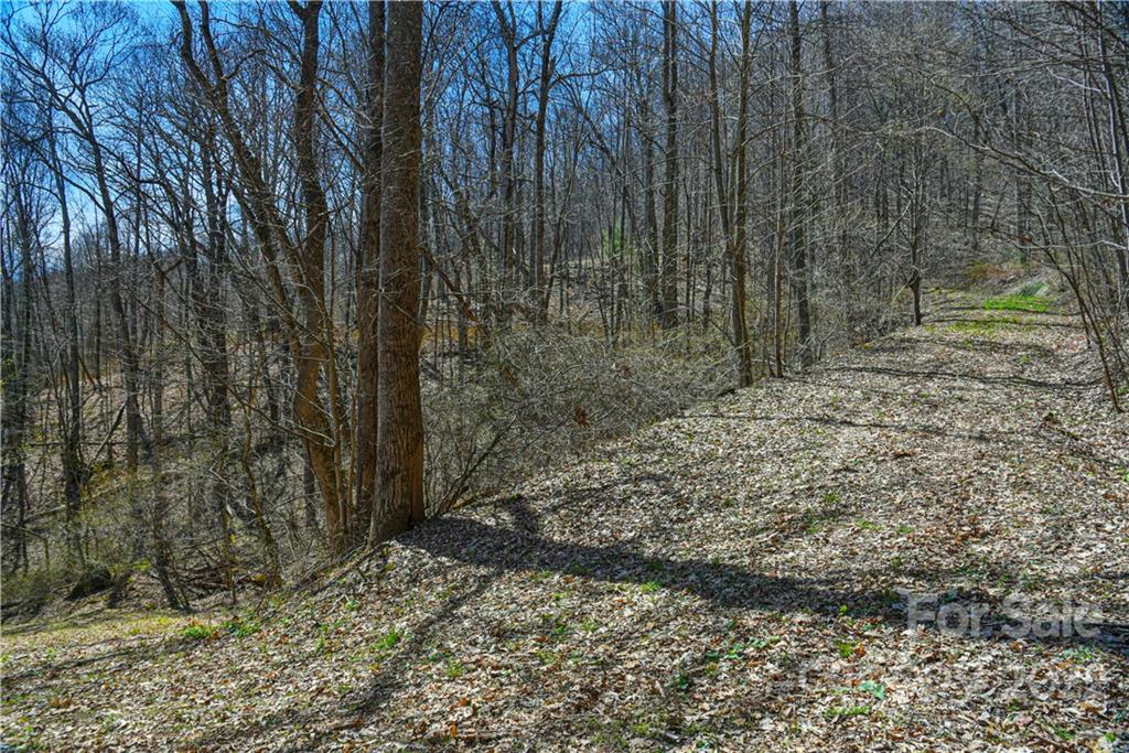 24 Poplar Forest Road Fairview NC 28730