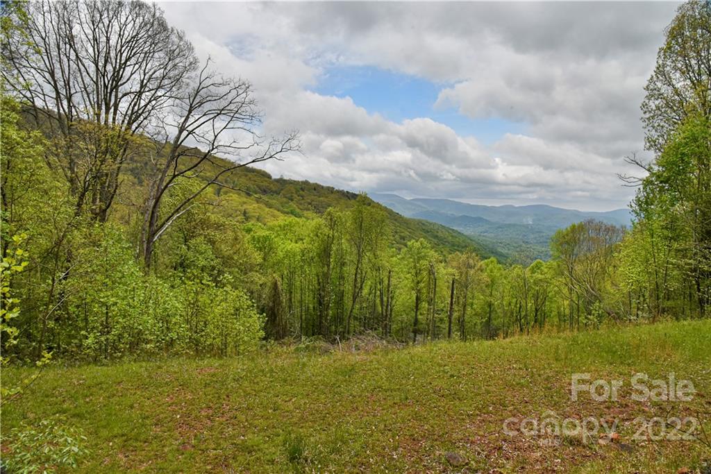 24 Poplar Forest Road Fairview NC 28730