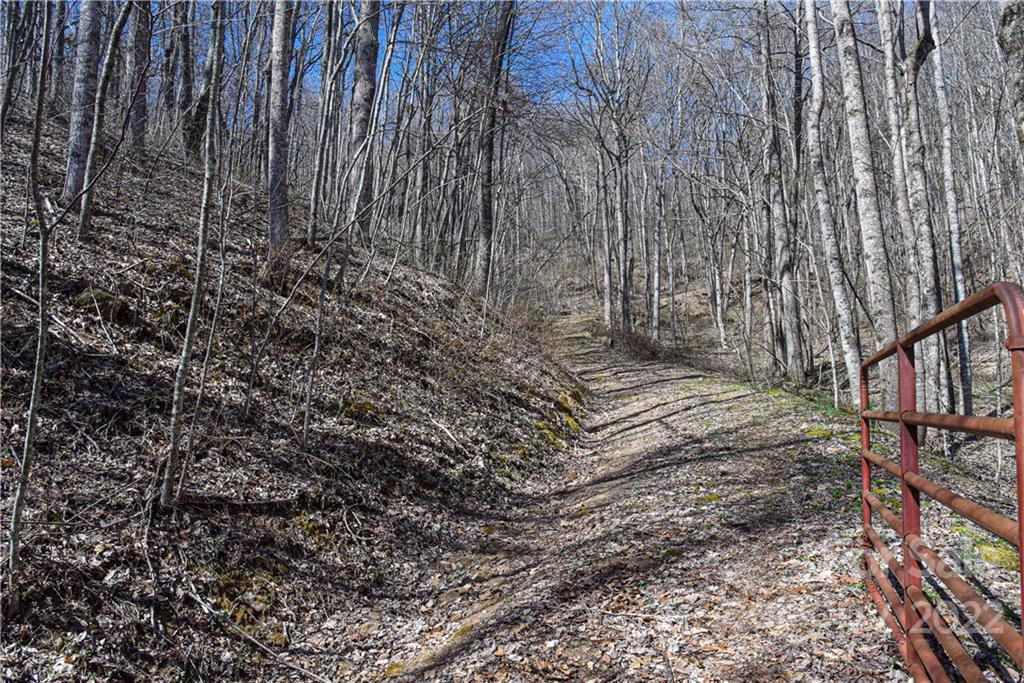 24 Poplar Forest Road Fairview NC 28730