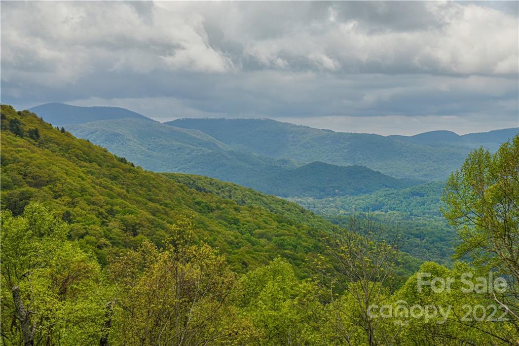 24 Poplar Forest Road Fairview NC 28730
