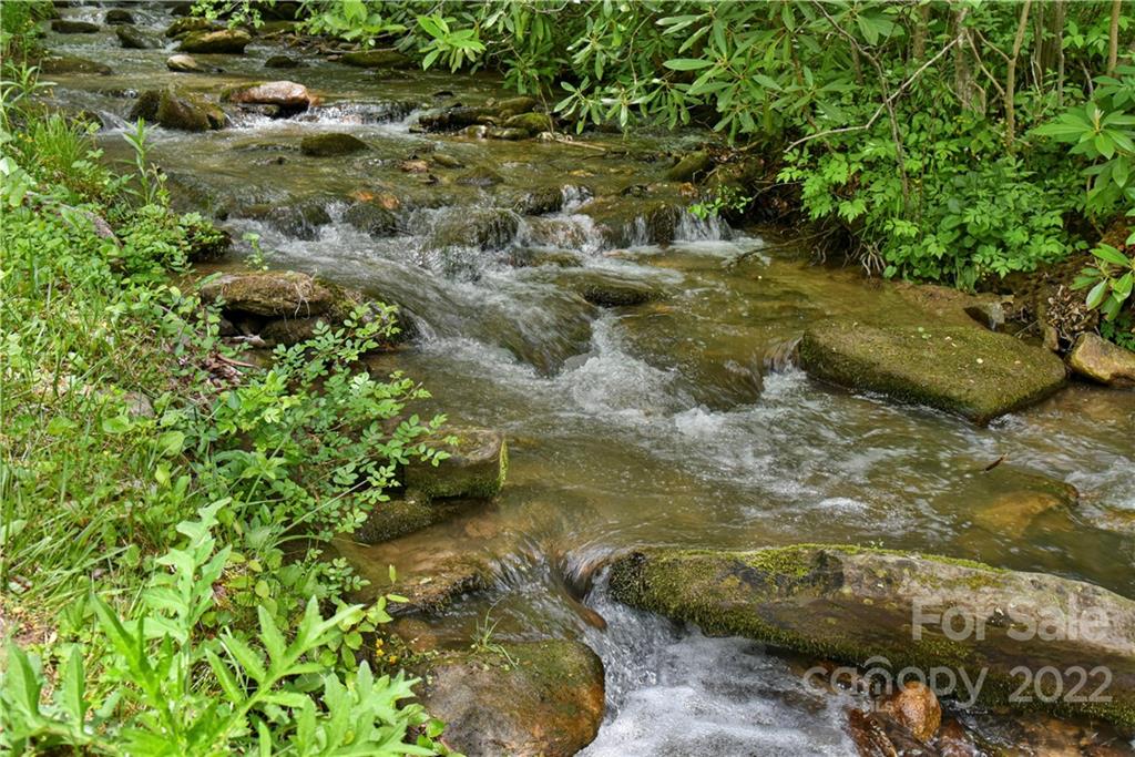 24 Poplar Forest Road Fairview NC 28730
