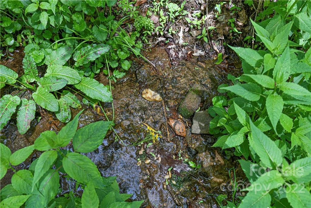 24 Poplar Forest Road Fairview NC 28730