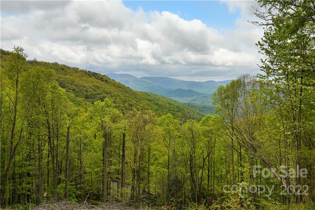 24 Poplar Forest Road Fairview NC 28730