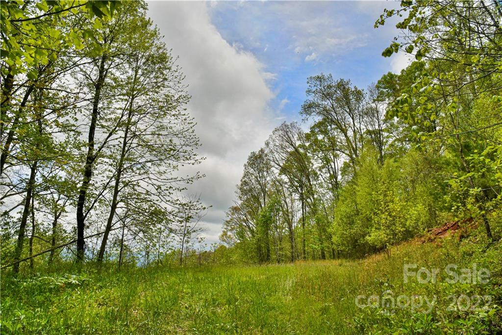 24 Poplar Forest Road Fairview NC 28730