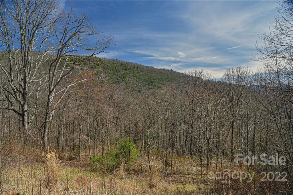 24 Poplar Forest Road Fairview NC 28730