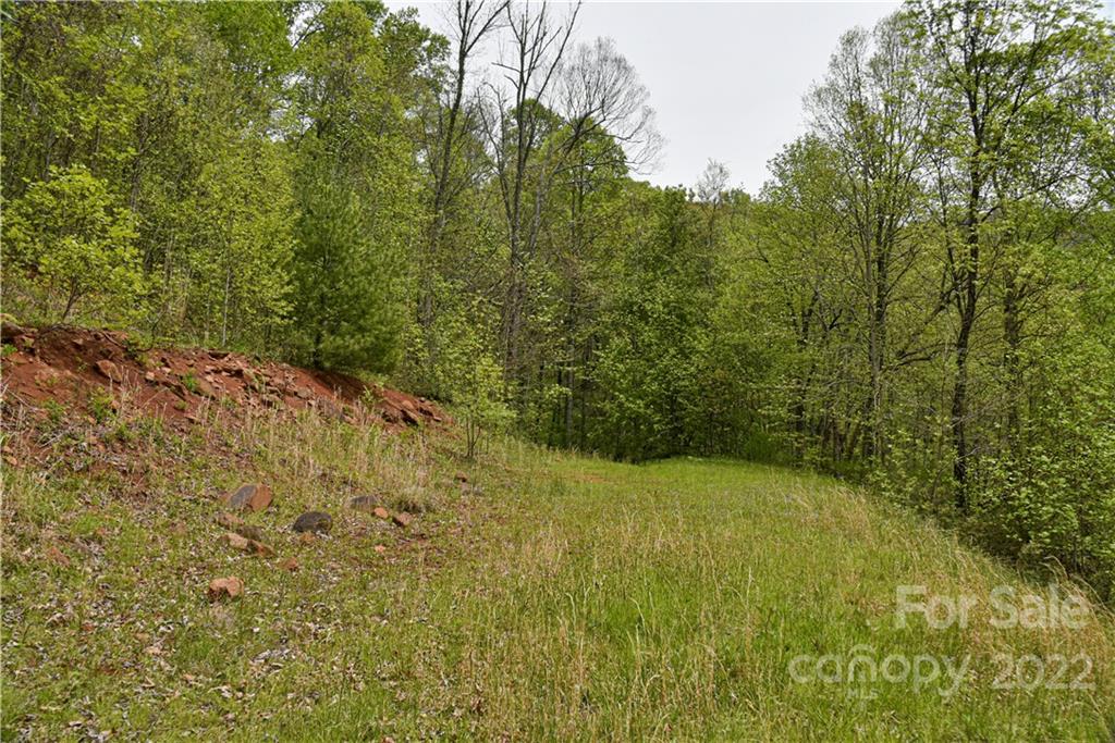 24 Poplar Forest Road Fairview NC 28730