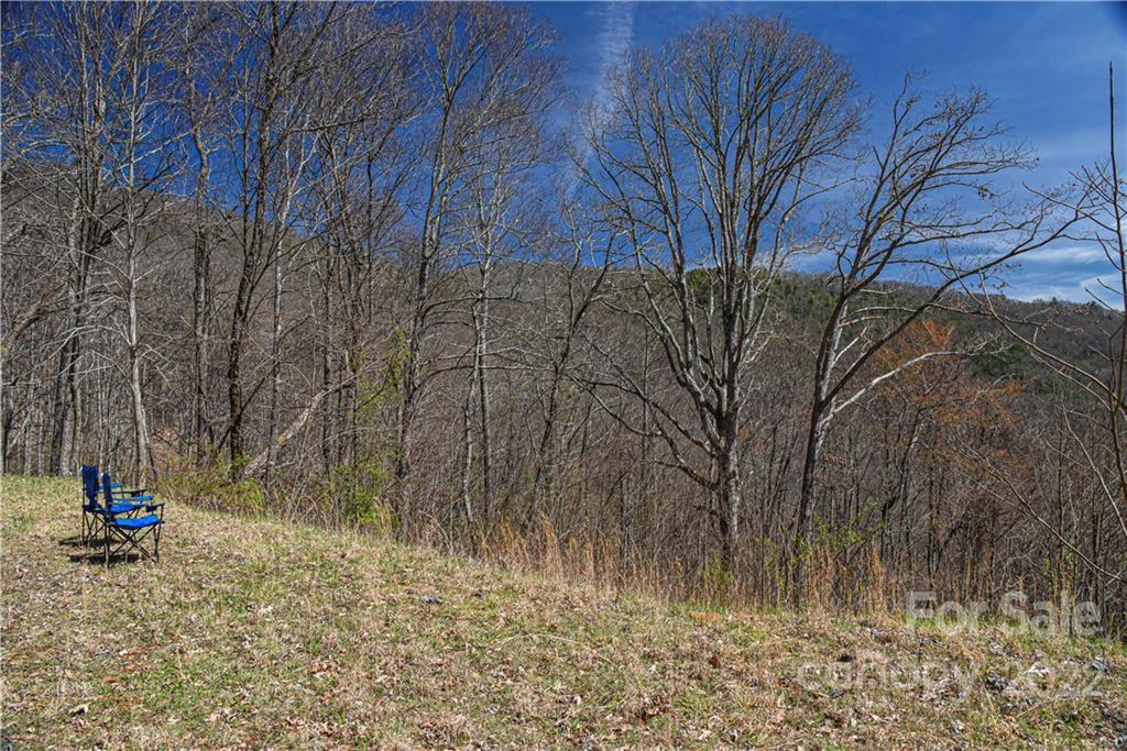 24 Poplar Forest Road Fairview NC 28730