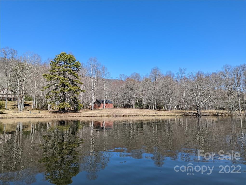 111 Adventure Trail Mills River NC 28759