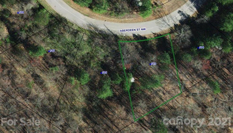 513 Aberdeen Street NW Conover NC 28613