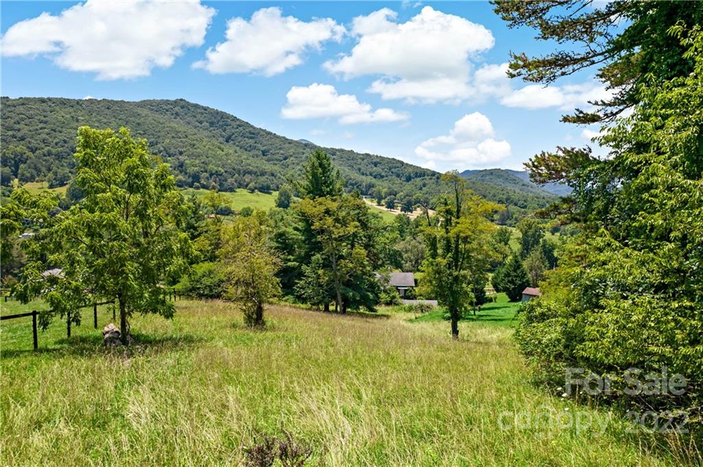5 Charcal Drive Candler NC 28715