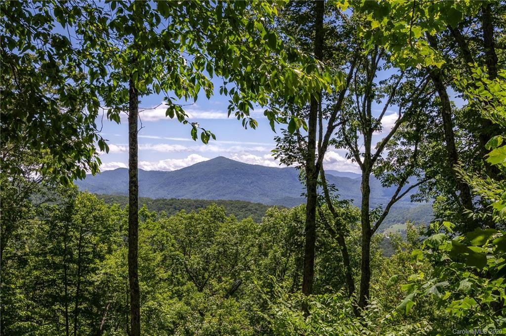 212 Chestnut Forest Road Fairview NC 28730