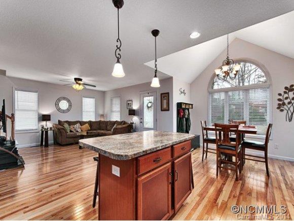 9 Knotty Alder Court Candler NC 28715