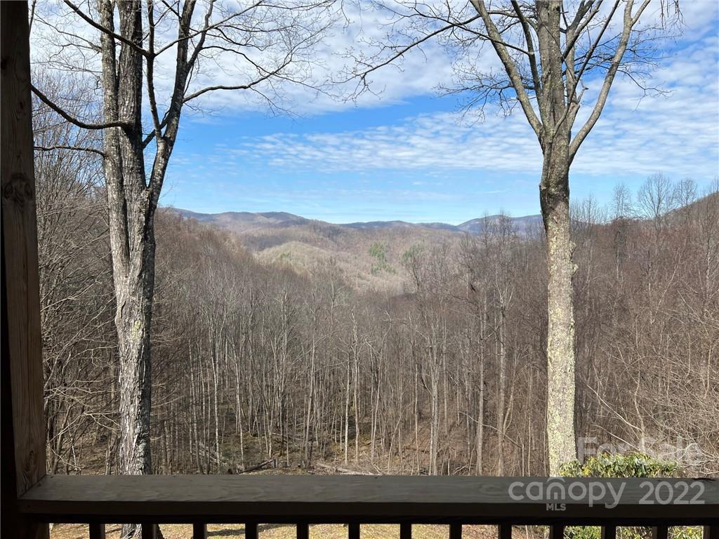 1020 Beasley Cove Road Hot Springs NC 28743